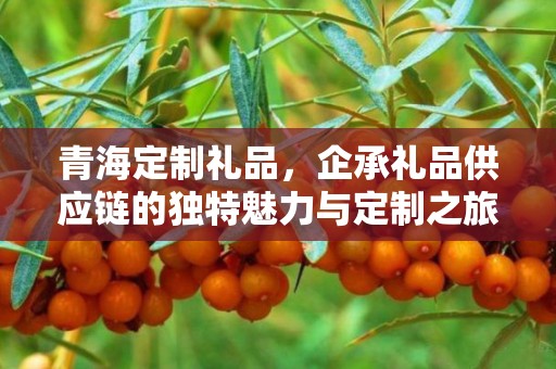 青海定制礼品，企承礼品供应链的独特魅力与定制之旅